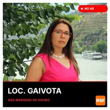 LOC. GAIVOTA